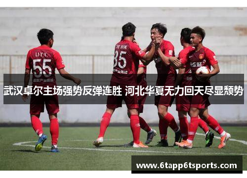 武汉卓尔主场强势反弹连胜 河北华夏无力回天尽显颓势