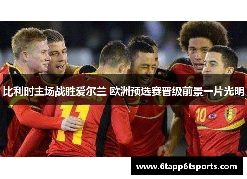 比利时主场战胜爱尔兰 欧洲预选赛晋级前景一片光明