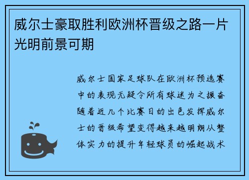 威尔士豪取胜利欧洲杯晋级之路一片光明前景可期
