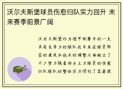 沃尔夫斯堡球员伤愈归队实力回升 未来赛季前景广阔
